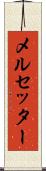 メルセッター Scroll