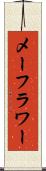 メーフラワー Scroll