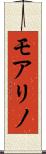 モアリノ Scroll