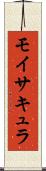 モイサキュラ Scroll