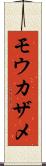 モウカザメ Scroll
