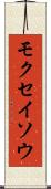 モクセイソウ Scroll