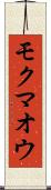 モクマオウ Scroll
