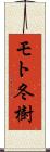 モト冬樹 Scroll