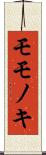 モモノキ Scroll