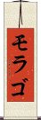 モラゴ Scroll