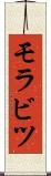モラビツ Scroll