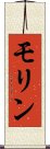 モリン Scroll