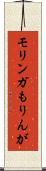 モリンガ Scroll