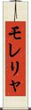 モレリャ Scroll