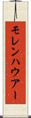 モレンハウアー Scroll