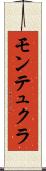 モンテュクラ Scroll