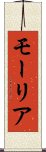 モーリア Scroll