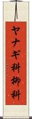 ヤナギ科 Scroll