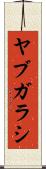 ヤブガラシ Scroll