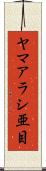 ヤマアラシ亜目 Scroll