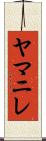 ヤマニレ Scroll