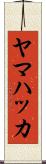 ヤマハッカ Scroll