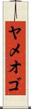 ヤメオゴ Scroll