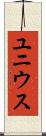 ユニウス Scroll