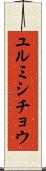 ユルミシチョウ Scroll