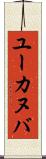ユーカヌバ Scroll