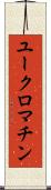 ユークロマチン Scroll