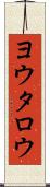 ヨウタロウ Scroll
