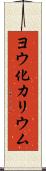 ヨウ化カリウム Scroll