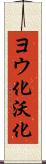 ヨウ化 Scroll