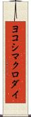 ヨコシマクロダイ Scroll