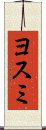 ヨスミ Scroll