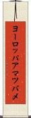 ヨーロッパアマツバメ Scroll