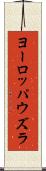 ヨーロッパウズラ Scroll