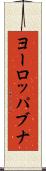ヨーロッパブナ Scroll