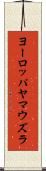 ヨーロッパヤマウズラ Scroll