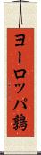 ヨーロッパ鶉 Scroll