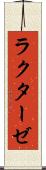 ラクターゼ Scroll