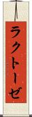 ラクトーゼ Scroll