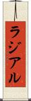 ラジアル Scroll