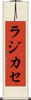 ラジカセ Scroll