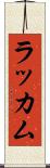 ラッカム Scroll