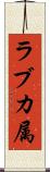 ラブカ属 Scroll