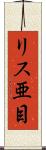リス亜目 Scroll