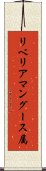 リベリアマングース属 Scroll