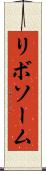 リボソーム Scroll