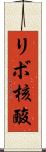 リボ核酸 Scroll