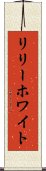 リリーホワイト Scroll