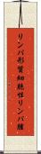 リンパ形質細胞性リンパ腫 Scroll