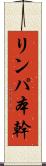 リンパ本幹 Scroll